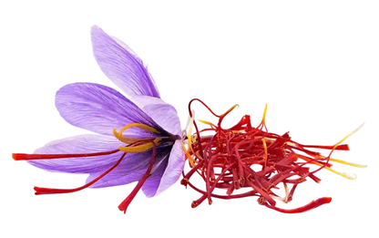 Saffron Threads in Case – Natural Organic Premium - quality – 3 g to 5 g - Magsmarts