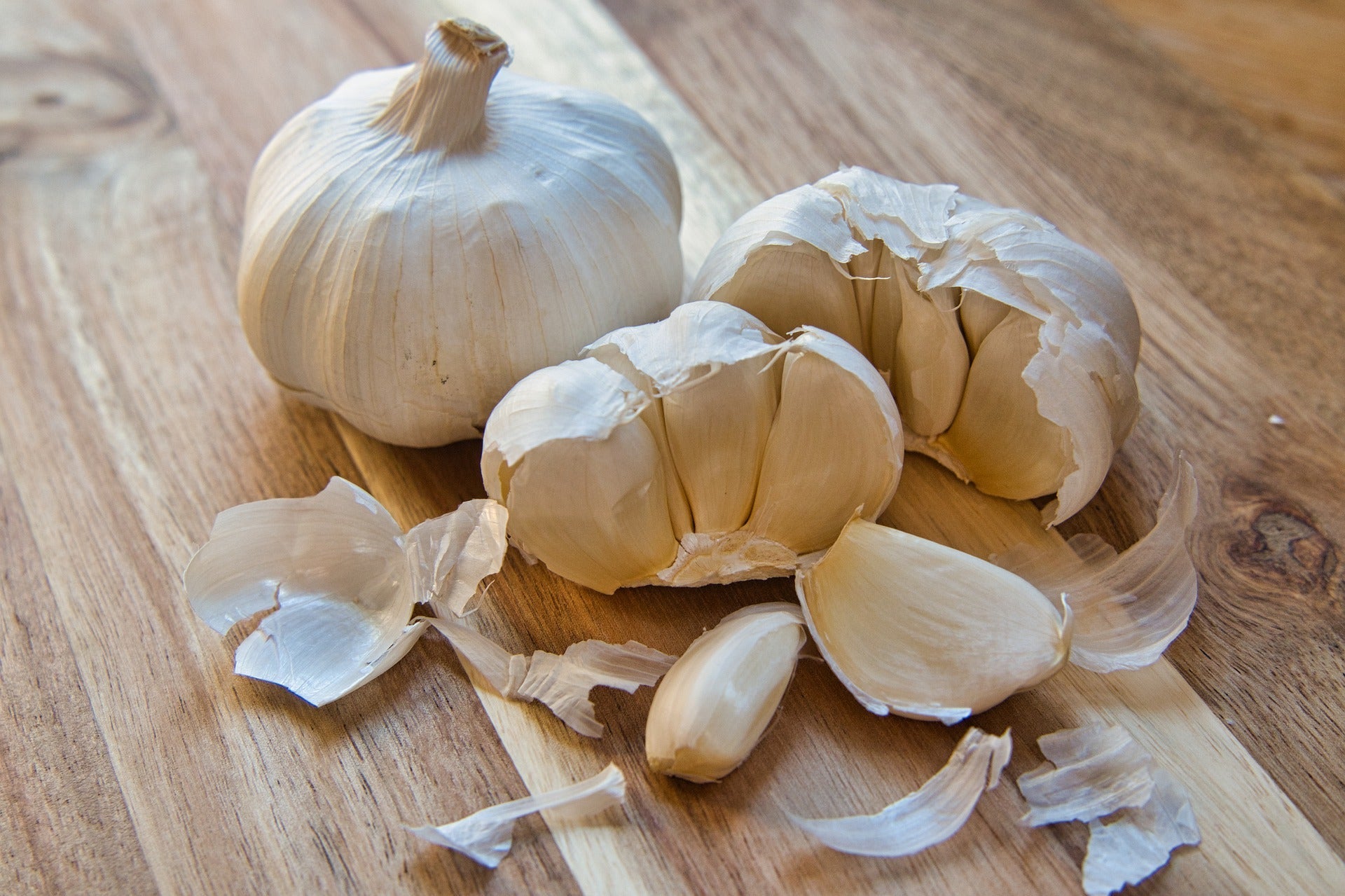 Costack Granulated Garlic - Magsmarts