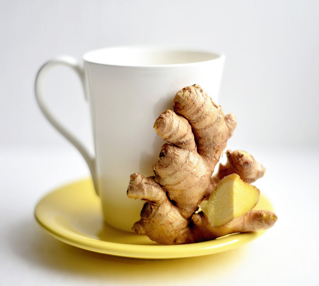 Costack Ginger Pure Ground - Magsmarts